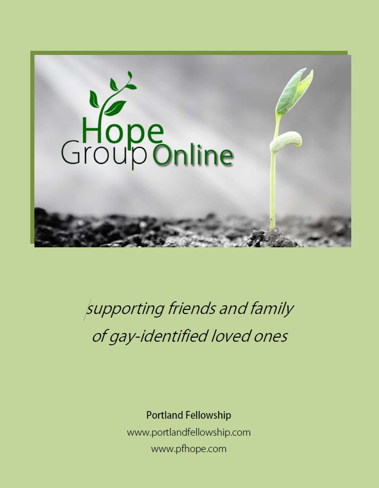 Hope Group Online Workbook