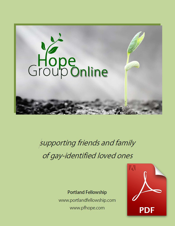 Hope Group Online Workbook (PDF Download)